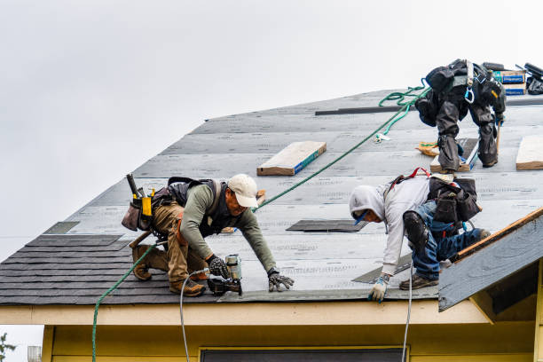 Professional Storm Damage Roof Repair technician working in Shafer, MN