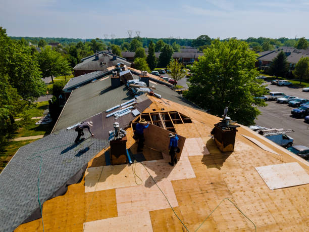 24/7 Emergency Storm Damage Roof Repair experts in Shafer, MN